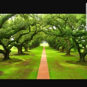 Meet your Posher, Damaris